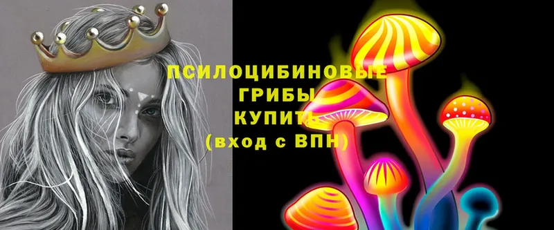 Галлюциногенные грибы MAGIC MUSHROOMS  купить наркоту  Жирновск 